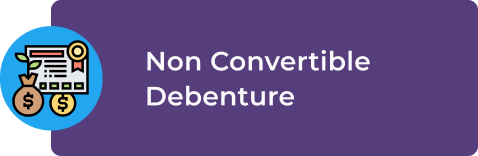 Non Convertible Debenture
